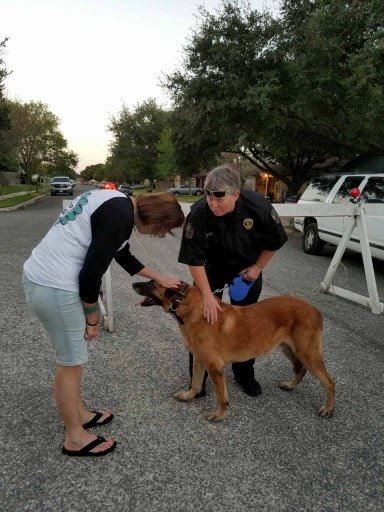 2016 - NNO Block Parties 27