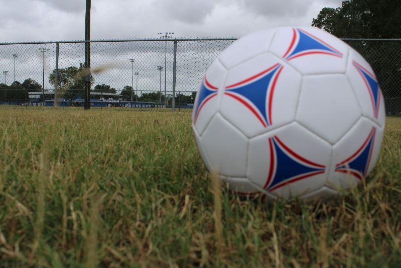 Soccer ball on grassy field