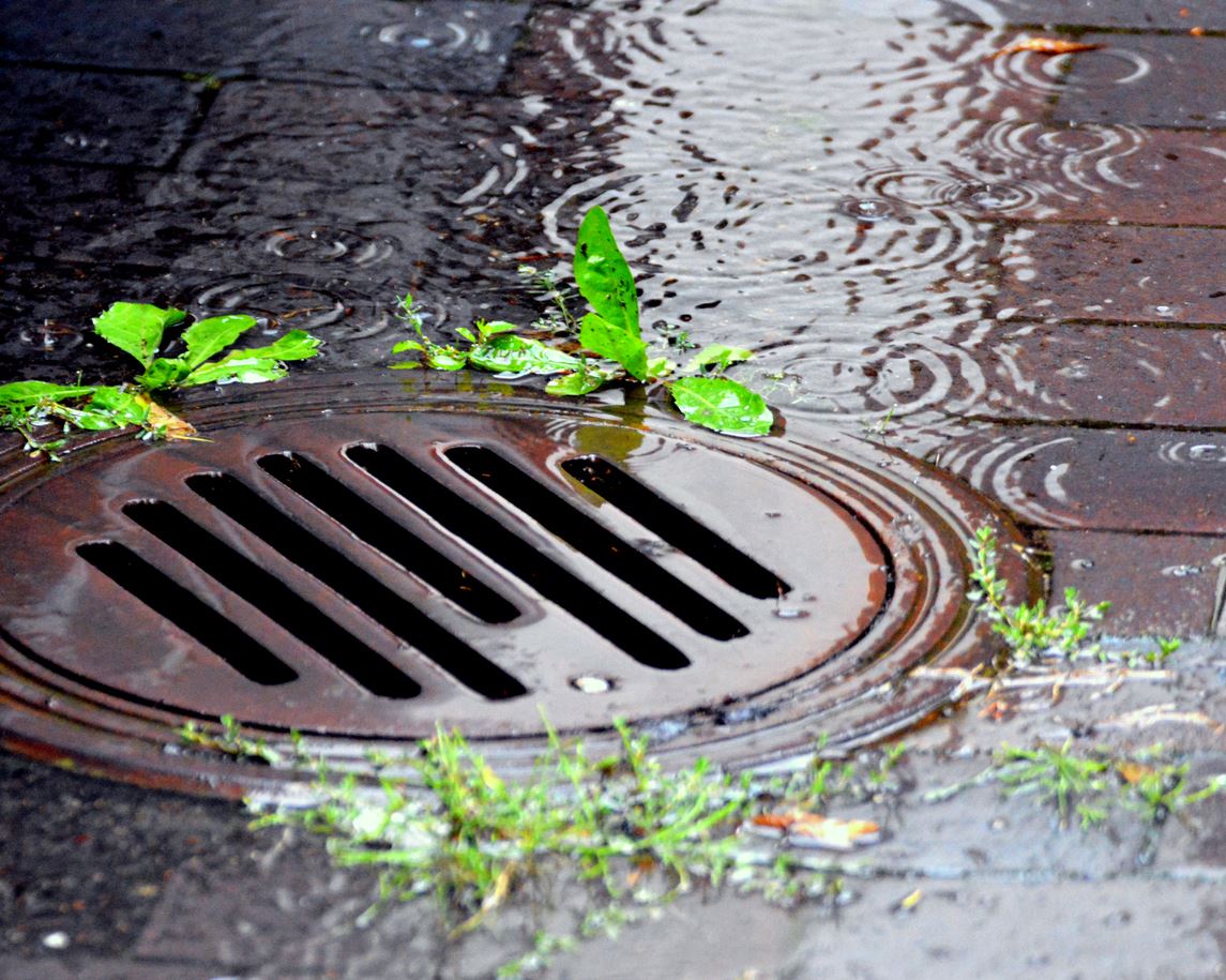 Rainwater flows into a storm grate on the pavement