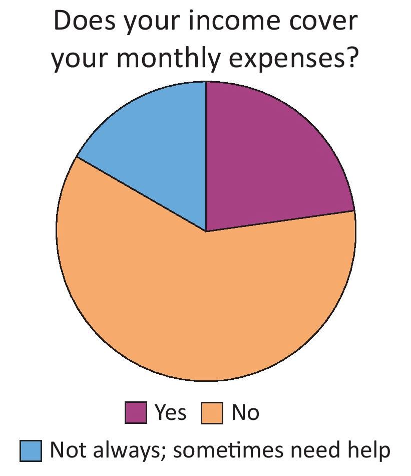 A pie chart showing whether residents' income covers their expenses. Most answered no.