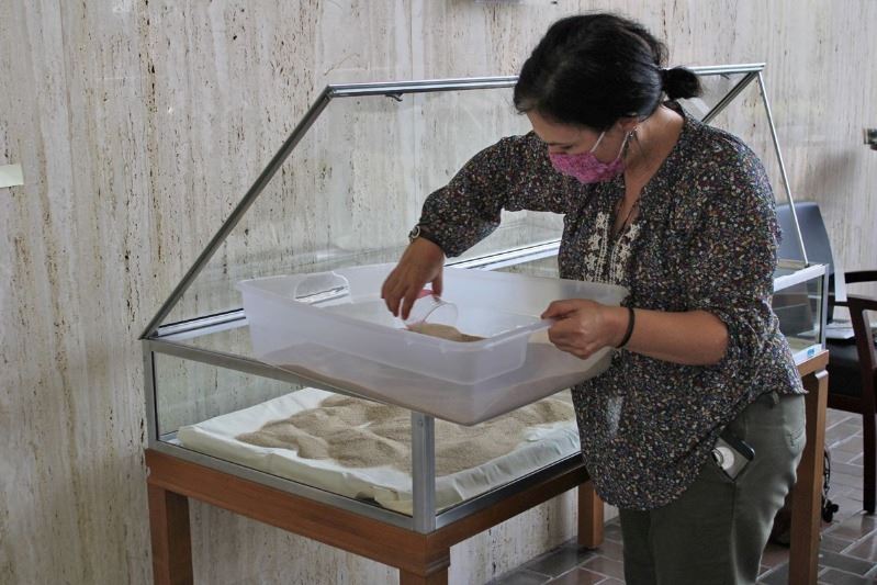 Woman scoops sand into glass case
