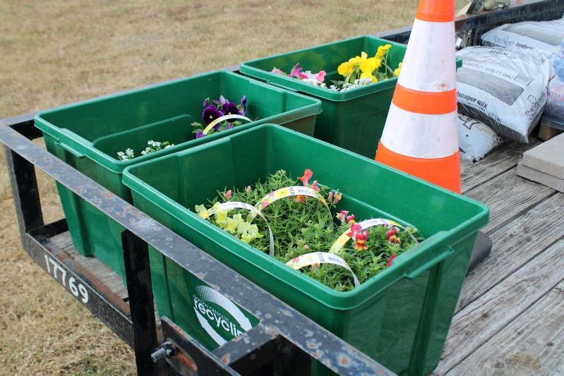 Multicolored flowers sit in plastic tubs on a flatbed trailer