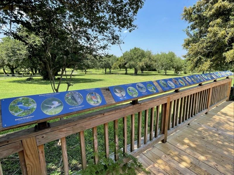 Signs on a wooden patio railing show pictures of birds and information about them.