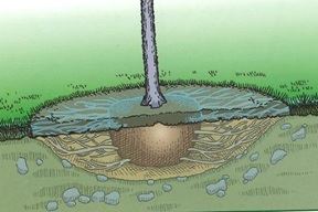 Illustration showing a tree planted in a shallow hole that is wider at the top